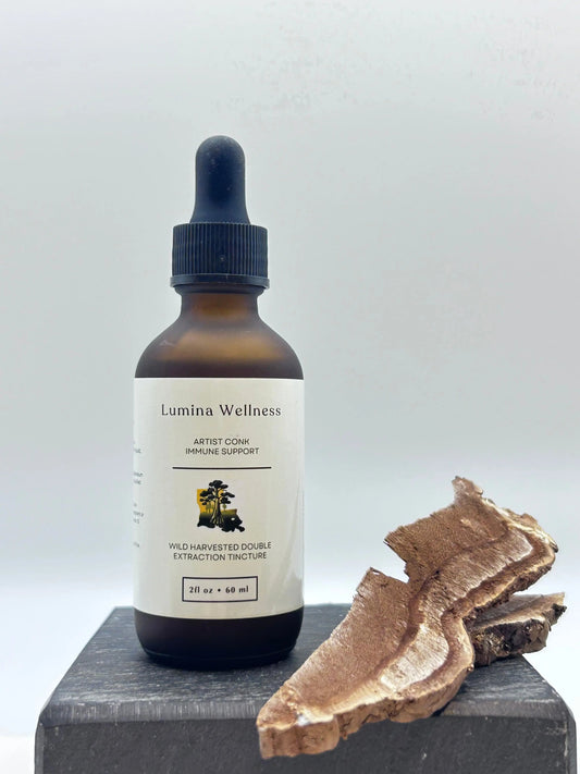 Bottle of Lumina Wellness mushroom tincture Ganoderma Applanatum on a white background