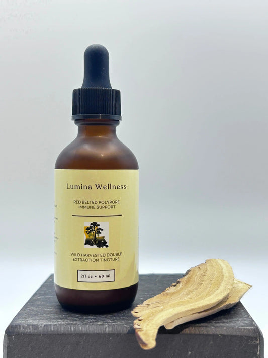 Bottle of Lumina Wellness mushroom tincture on a white background. Fomitopsis pinicola