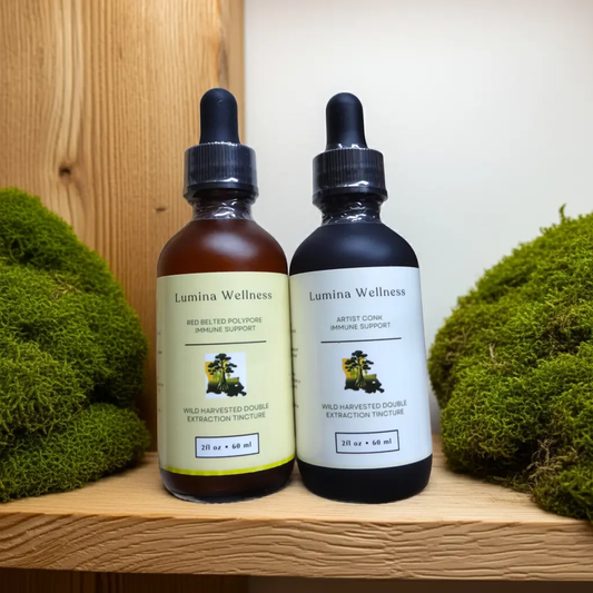 Mushroom Tincture Immunity Bundle My Store